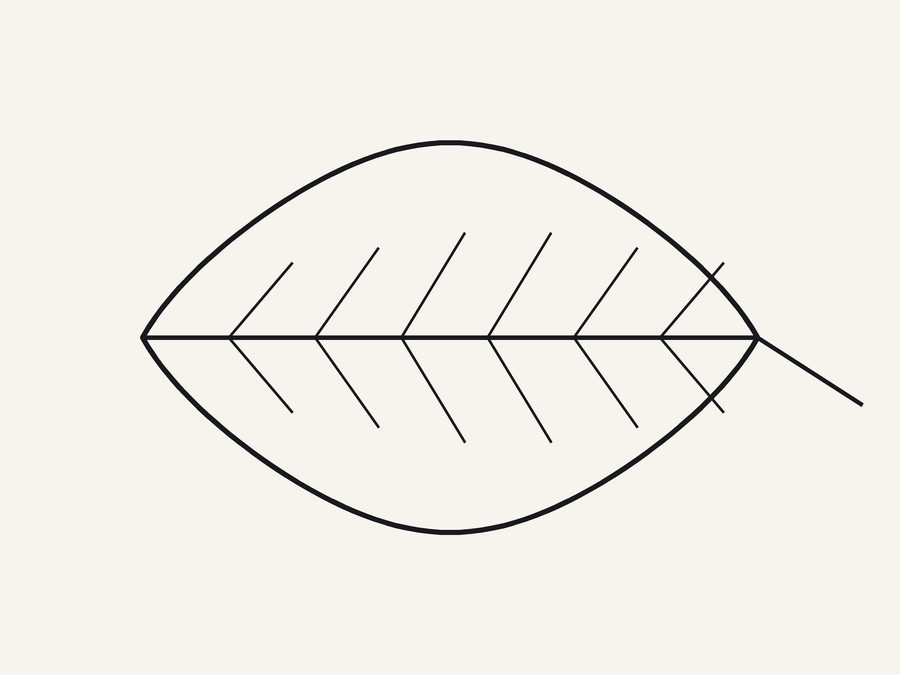 A scanned ink drawing of a leaf on off-white paper: an outline, a central vein, side veins and a stem (shown as a JPEG preview of the TIFF)