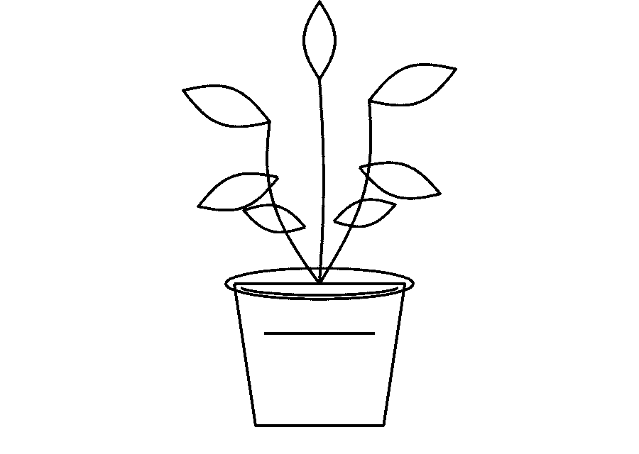The same potted plant drawing reduced to pure black lines on pure white