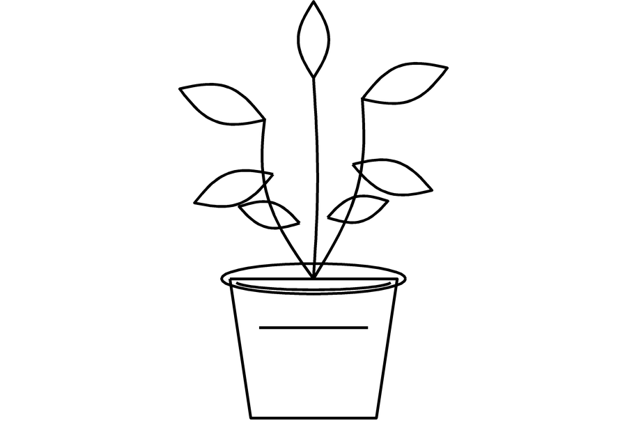 Black ink line drawing of a potted plant with seven leaves on a white background