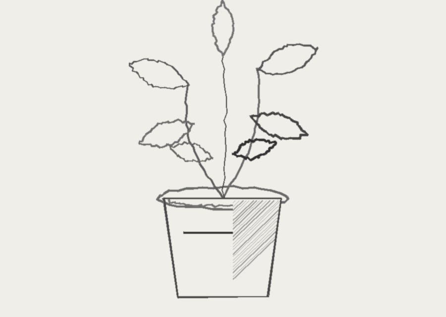 Grey pencil sketch of the potted plant with wobbly lines and diagonal hatching on off-white paper
